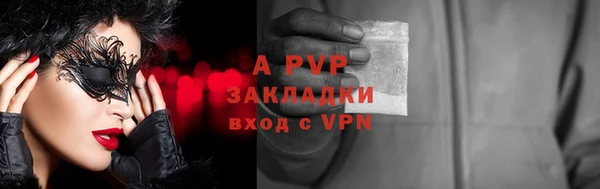 спиды Лагань