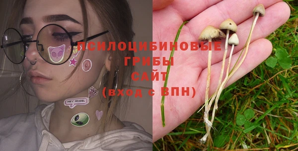 ALPHA PVP Кукмор