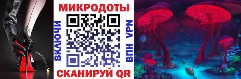 Псилоцибиновые грибы Psilocybe  Купить где  Алупка 